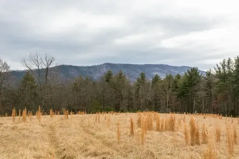 19962 Rainbow Ridge Road Bergton VA 22811