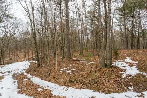 19962 Rainbow Ridge Road Bergton VA 22811