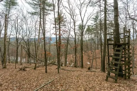 19962 Rainbow Ridge Road Bergton VA 22811