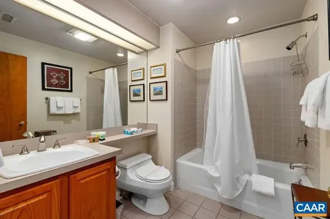 1808 High Ridge Ct Condos Wintergreen Resort VA 22967
