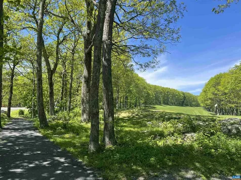 1808 High Ridge Ct Condos Wintergreen Resort VA 22967