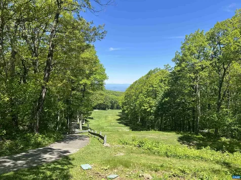 1808 High Ridge Ct Condos Wintergreen Resort VA 22967