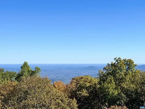 1808 High Ridge Ct Condos Wintergreen Resort VA 22967