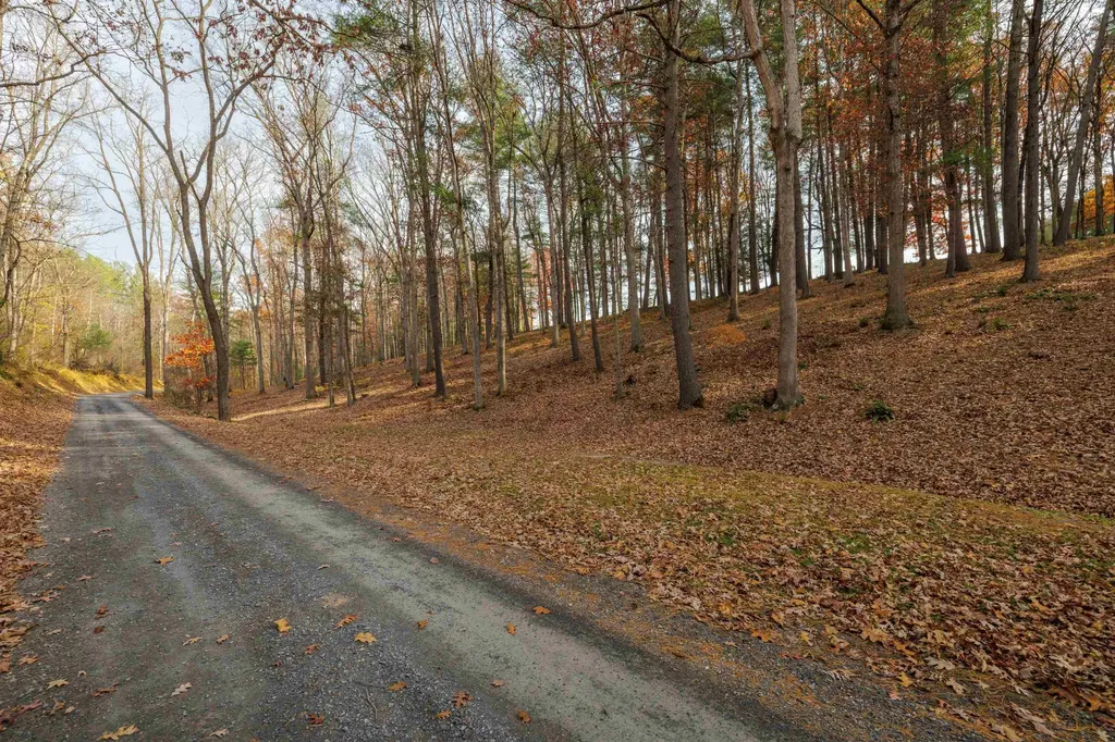 Tbd Plum Tree Draft Road Churchville VA 24421