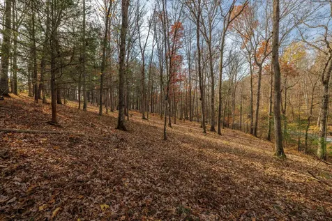 Tbd Plum Tree Draft Road Churchville VA 24421