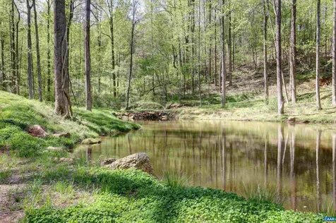 0 Gibsons Hollow Lane Charlottesville VA 22903