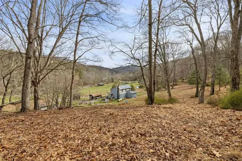 1851 Cullers Run Road Mathias WV 26812