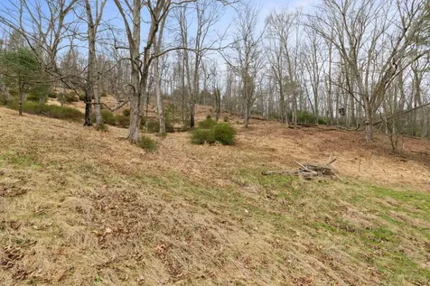 1851 Cullers Run Road Mathias WV 26812
