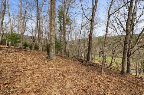 1851 Cullers Run Road Mathias WV 26812
