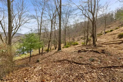 1851 Cullers Run Road Mathias WV 26812
