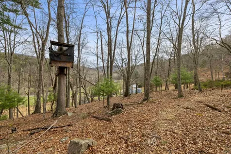 1851 Cullers Run Road Mathias WV 26812