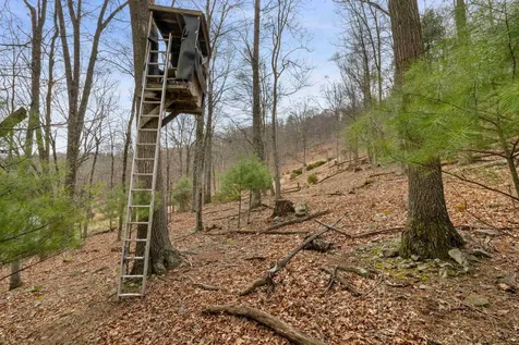 1851 Cullers Run Road Mathias WV 26812