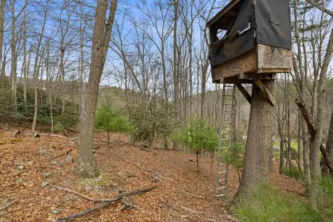 1851 Cullers Run Road Mathias WV 26812