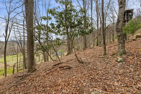1851 Cullers Run Road Mathias WV 26812