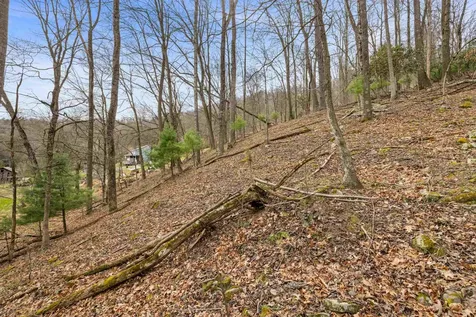 1851 Cullers Run Road Mathias WV 26812