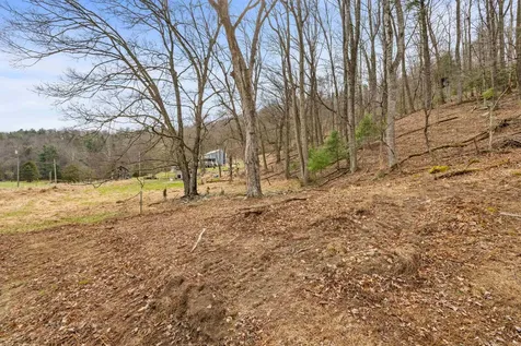 1851 Cullers Run Road Mathias WV 26812