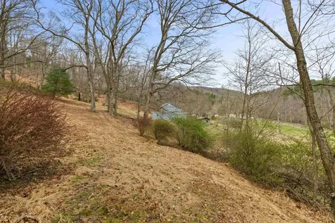 1851 Cullers Run Road Mathias WV 26812
