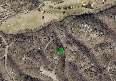 Tbd Fairway Drive Basye VA 22810