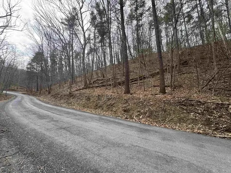 Tbd Fairway Drive Basye VA 22810