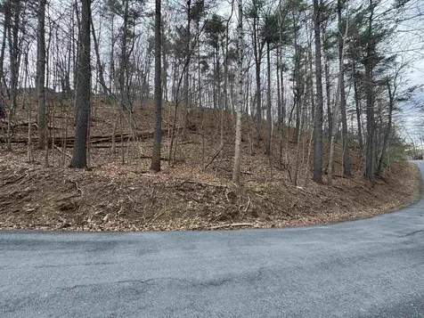 Tbd Fairway Drive Basye VA 22810