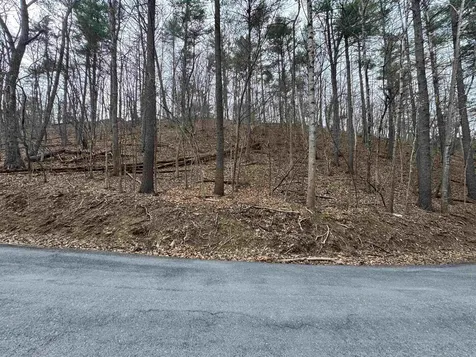 Tbd Fairway Drive Basye VA 22810