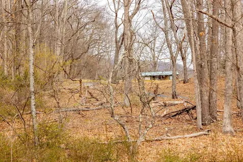 49 Mount Top Road Mathias WV 26812