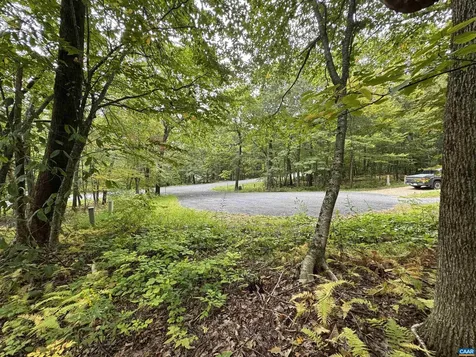 12 Dripping Rock Lane Wintergreen Resort VA 22967