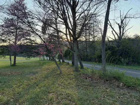 Tbd Bloomer Springs Road Mcgaheysville VA 22840