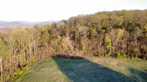 Tbd Bloomer Springs Road Mcgaheysville VA 22840