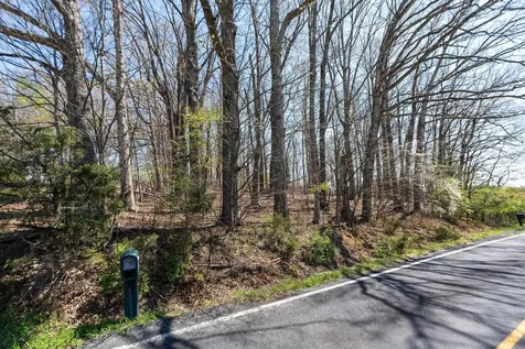 0.67 Acres Shutterlee Mill Road Staunton VA 24401