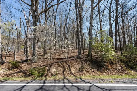 0.67 Acres Shutterlee Mill Road Staunton VA 24401
