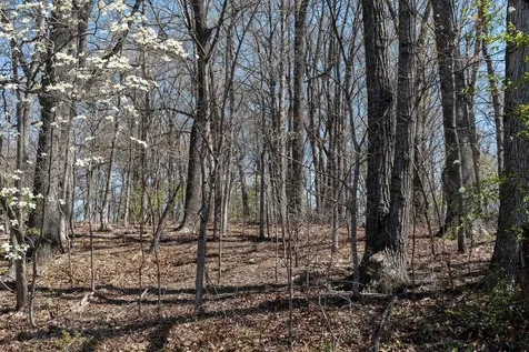 0.67 Acres Shutterlee Mill Road Staunton VA 24401