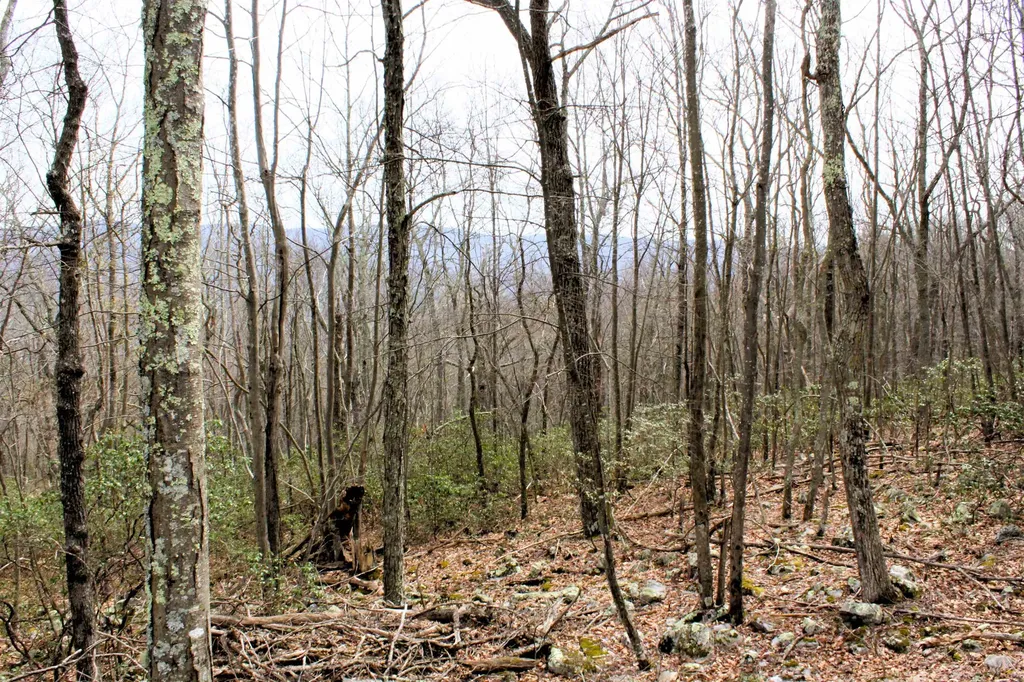 High Valley Drive S Monterey VA 24465