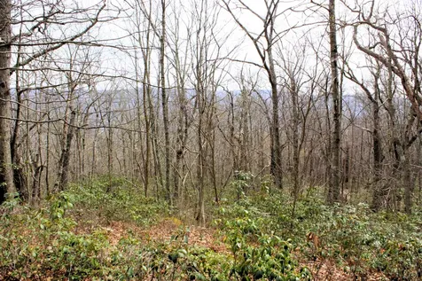High Valley Drive S Monterey VA 24465