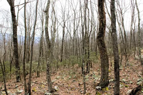 High Valley Drive S Monterey VA 24465