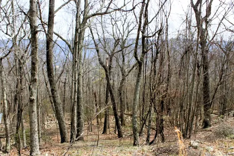 High Valley Drive S Monterey VA 24465
