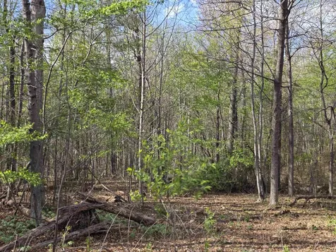 Tbd Scenic Highway N Mount Solon VA 22843