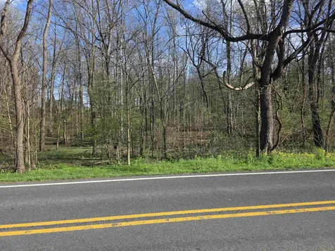 Tbd Scenic Highway N Mount Solon VA 22843