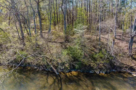 Tbd Shipyard Road Shenandoah VA 22849