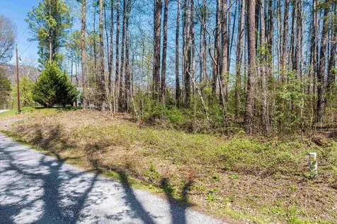 Tbd Shipyard Road Shenandoah VA 22849