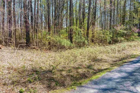 Tbd Shipyard Road Shenandoah VA 22849
