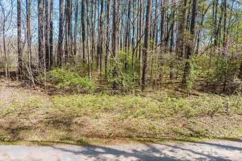 Tbd Shipyard Road Shenandoah VA 22849