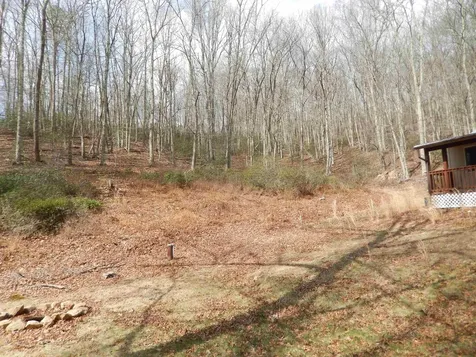 1308 Spruce Street Monterey VA 24465