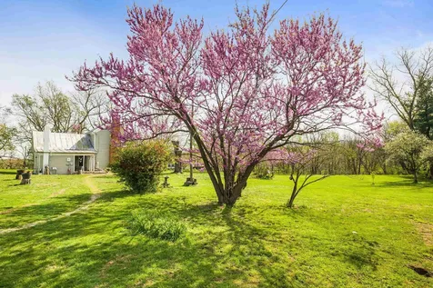 574 Jiggady Road New Market VA 22844
