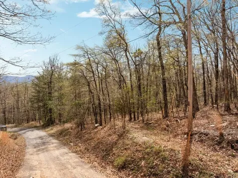 Lot 21 Mockingbird Lane Luray VA 22835