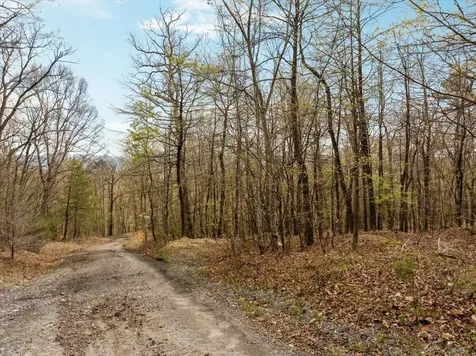 Lot 21 Mockingbird Lane Luray VA 22835