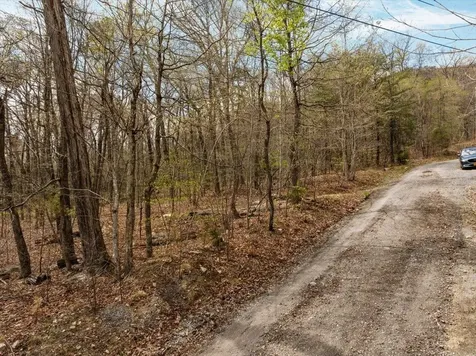 Lot 21 Mockingbird Lane Luray VA 22835