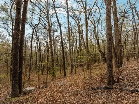 Lot 21 Mockingbird Lane Luray VA 22835