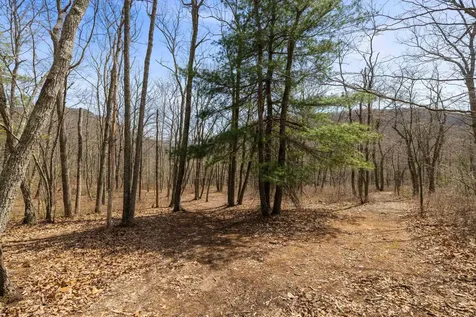 16199 Rockymount Lane Elkton VA 22827