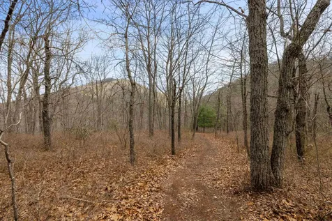 16199 Rockymount Lane Elkton VA 22827